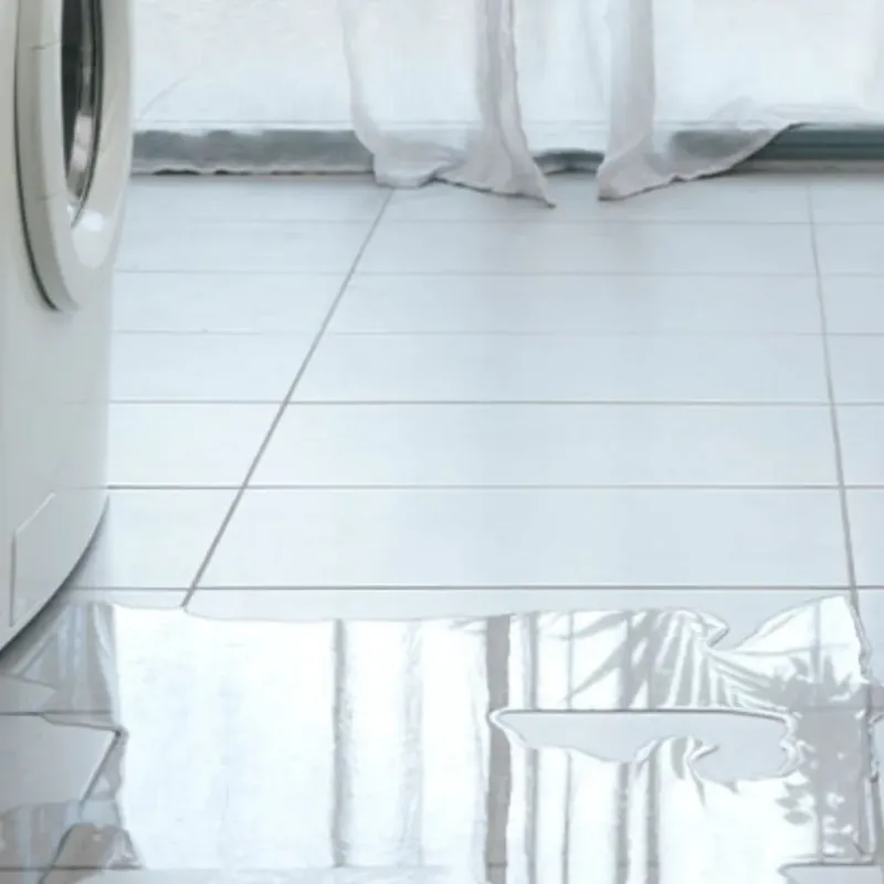 Appliance Leak Cleanup in Toquerville, UT
