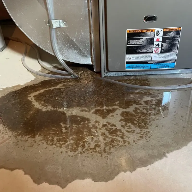 Pipe Burst and Leak Restoration in Toquerville, UT